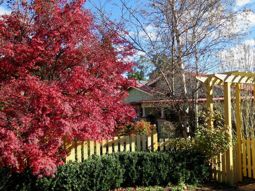 Shelton-Lea Villa Katoomba Exterior foto