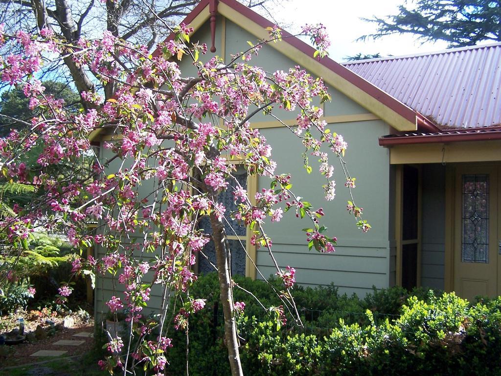 Shelton-Lea Villa Katoomba Cameră foto