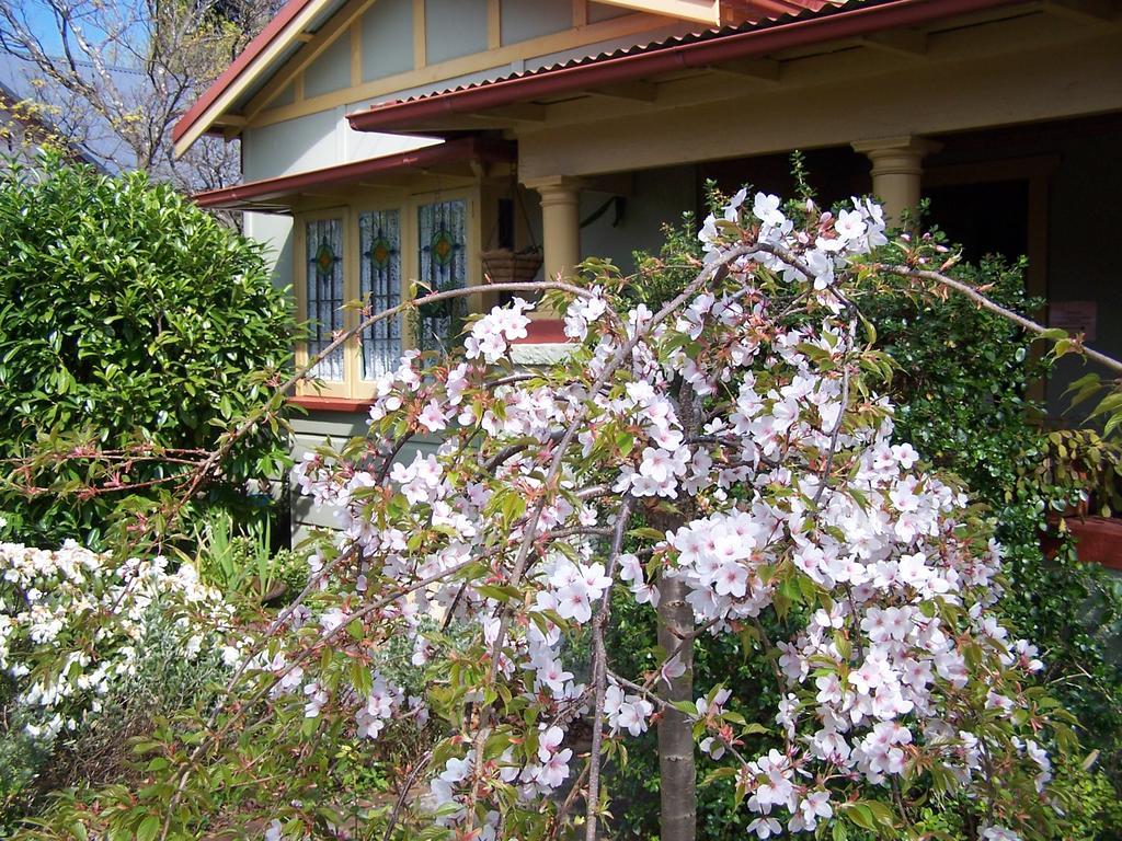 Shelton-Lea Villa Katoomba Exterior foto
