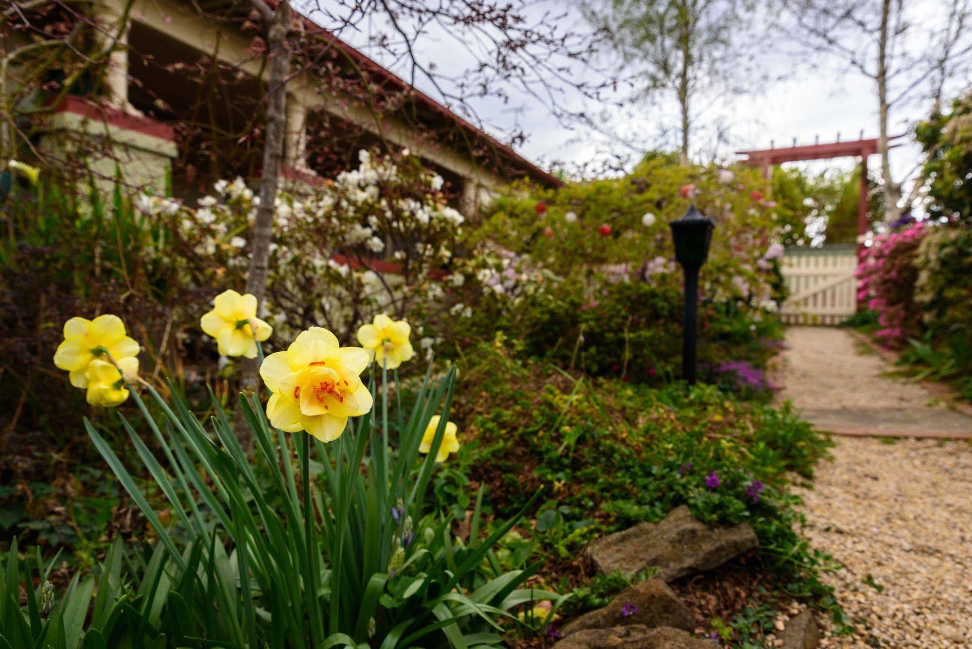 Shelton-Lea Villa Katoomba Exterior foto